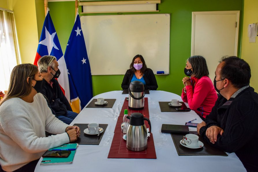 Delegada Muñoz se reúne con parte del directorio de Aerovías DAP