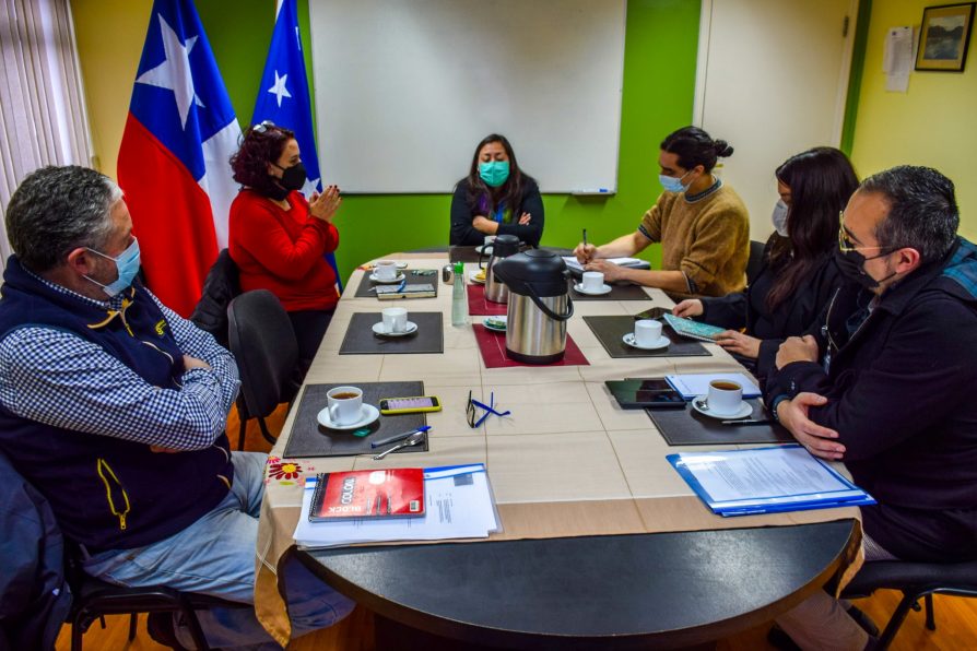 Delegada Muñoz recibe saludo protocolar de Seremi de Economía Ruth Saieh