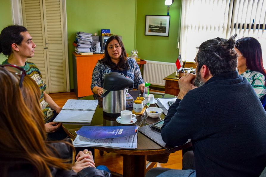 Delegada María Luisa Muñoz recibe saludo protocolar de funcionarios de Subdere Magallanes