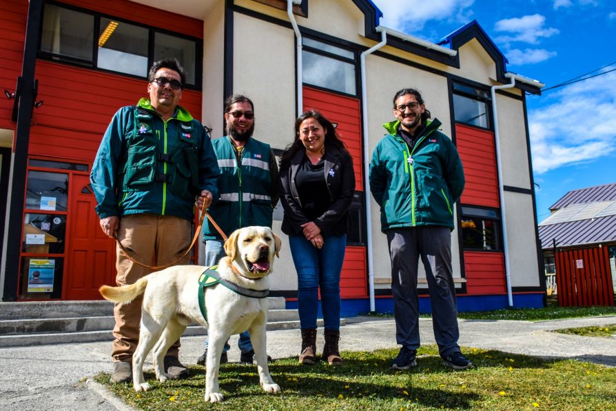 Por primera vez en la capital provincial: Brigada Canina de SAG Magallanes realizará inspecciones durante temporada de cruceros en Puerto Williams