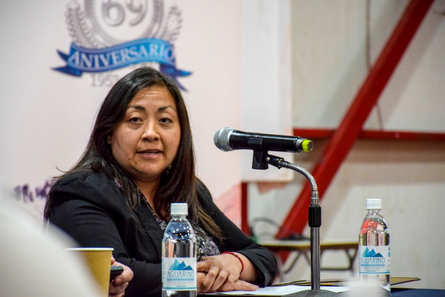 Delegada María Luisa Muñoz durante sesión del Core Magallanes en Puerto Williams: “Como autoridades debemos hacernos cargo de deudas sociales históricas”