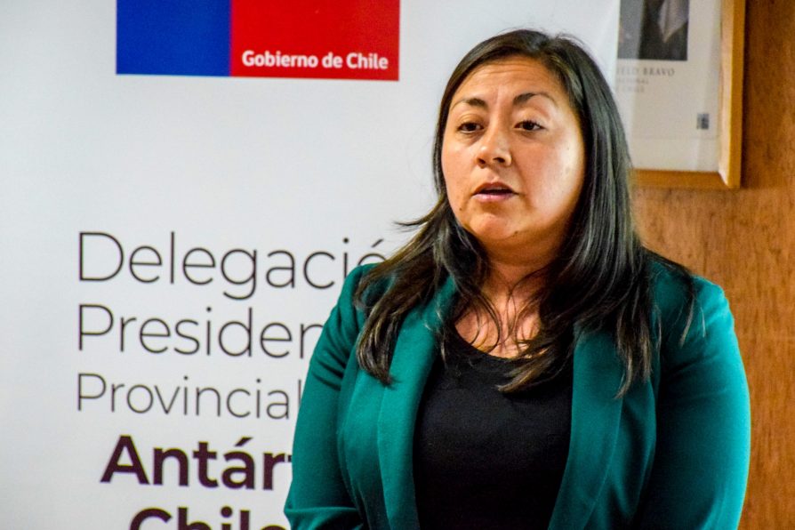 Desde que Delegada Muñoz inició su gestión: Las siete materias relevantes de la Delegación Presidencial Provincial de la Antártica Chilena durante 2022