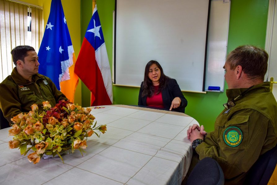 En 2022: Comuna de Cabo de Hornos registró un aumento de 36,4% de casos de Violencia Intrafamiliar