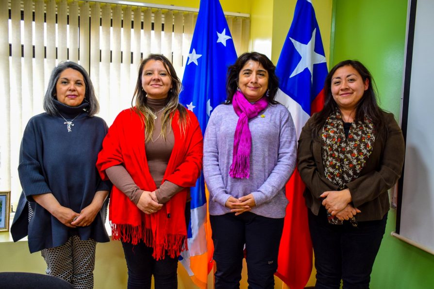 En reunión con autoridades de Educación Inicial: Delegada Muñoz transmite requerimientos de apoderados de jardines infantiles de Puerto Williams