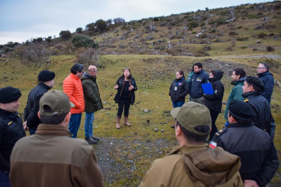 Refuerzan acciones tras primer caso de influenza aviar en la Provincia Antártica Chilena