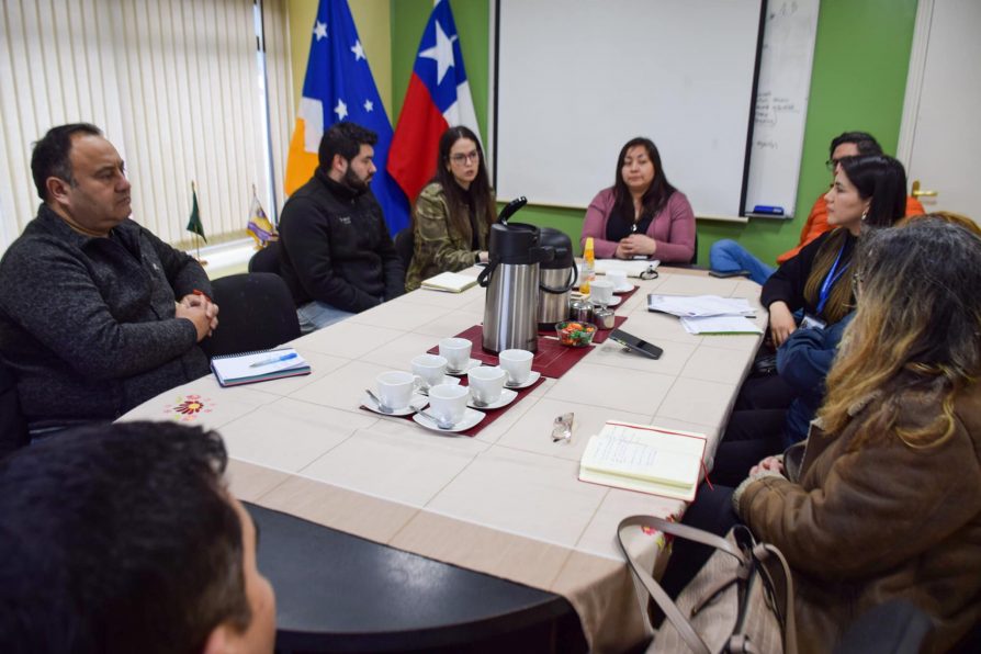 Puerto Williams: Instituciones públicas y empresas coordinan acciones para prevenir consumo de alcohol y otras drogas