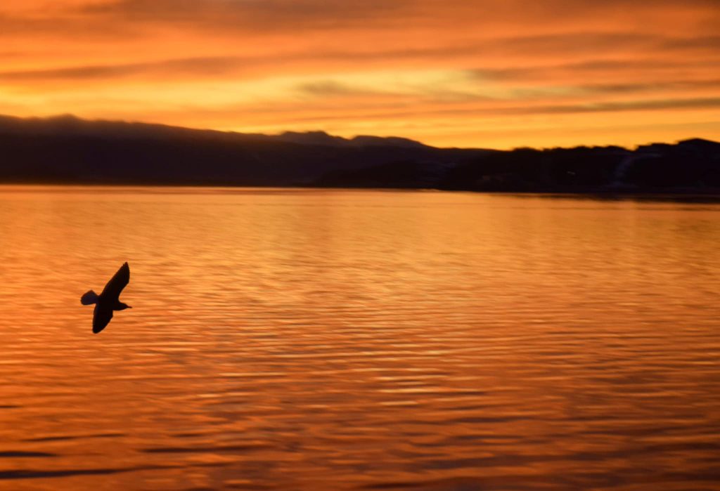 Amanecer Puerto Williams