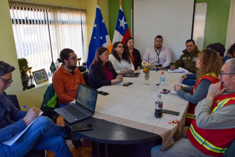 Cogrid aborda estrategias de prevención y combate de incendios forestales en la Provincia Antártica Chilena