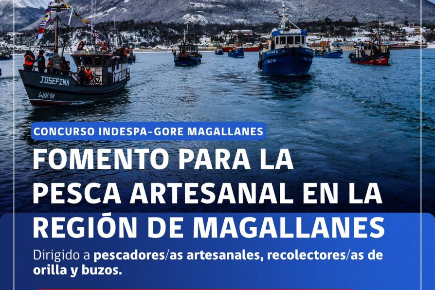 [AFICHE] Concurso Indespa-Gore Magallanes: Fomento para la pesca artesanal en la Región de Magallanes