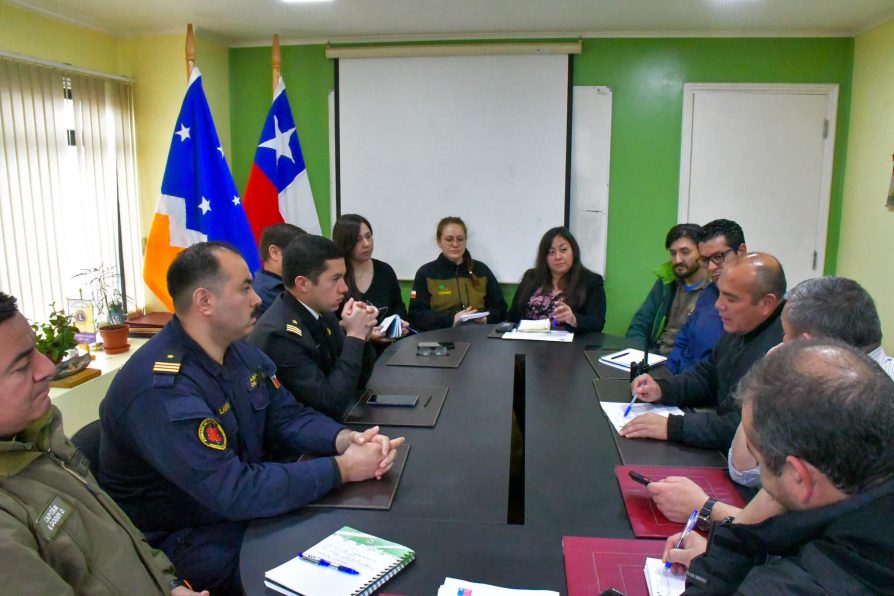 Delegación Antártica Chilena encabeza Cogrid Provincial de preparación ante emergencias durante Invierno 2024