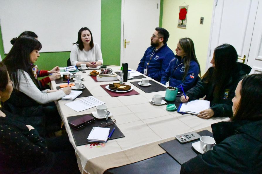 Invitan a proponer jóvenes líderes de la Provincia Antártica Chilena