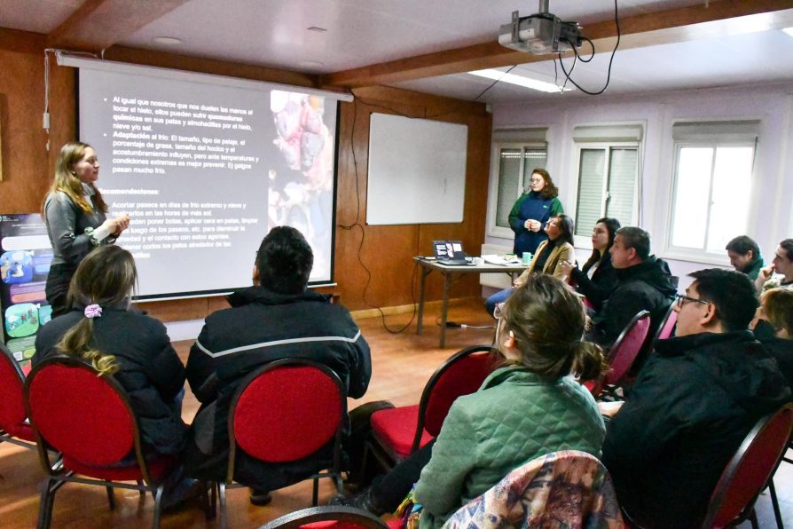 Delegada Constanza Calisto participa en plenario sobre tenencia responsable de mascotas