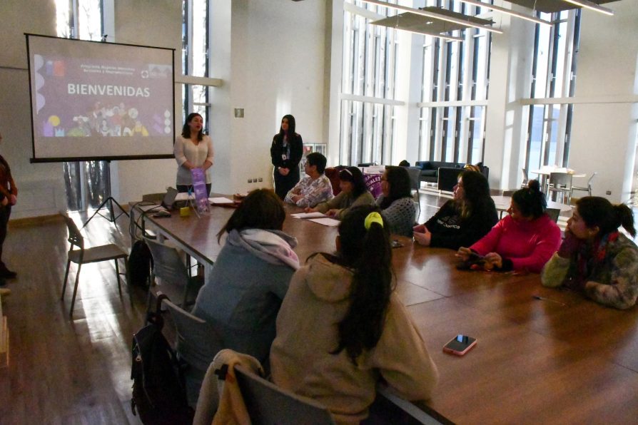 Sernameg y Cadi-Umag inician talleres de Programa Mujeres Derechos Sexuales y Reproductivos en Puerto Williams