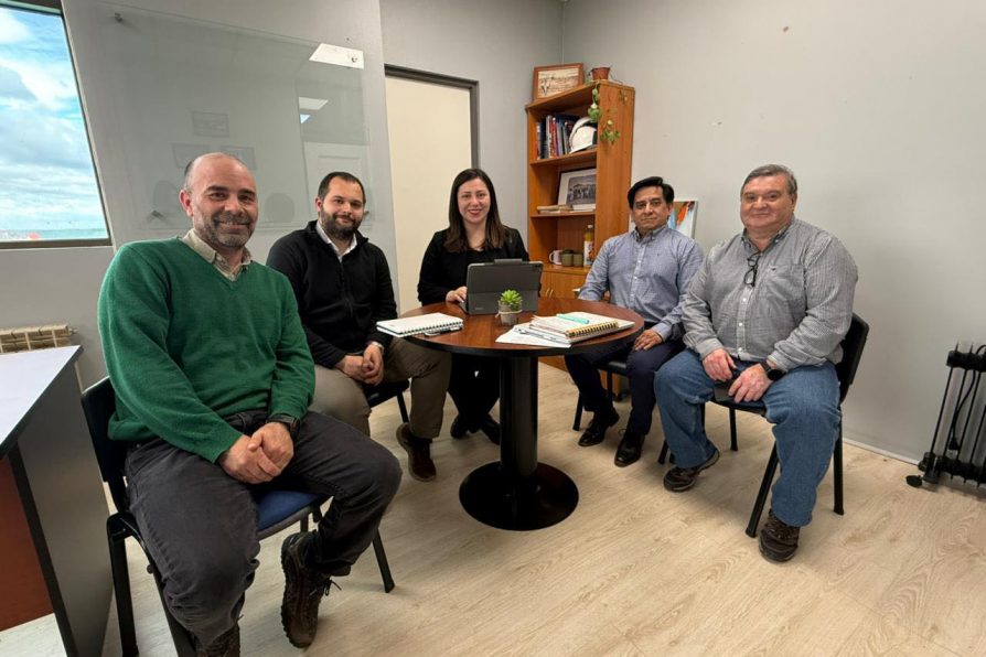 Delegada Constanza Calisto se reúne con personal de Dirección Regional de Vialidad en Punta Arenas