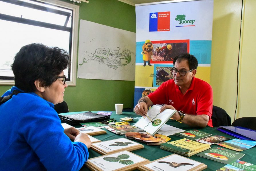 Con jornada de extensión horaria finalizan casi 40 actividades de “Gobierno en Terreno” durante 2025 en la Provincia Antártica Chilena