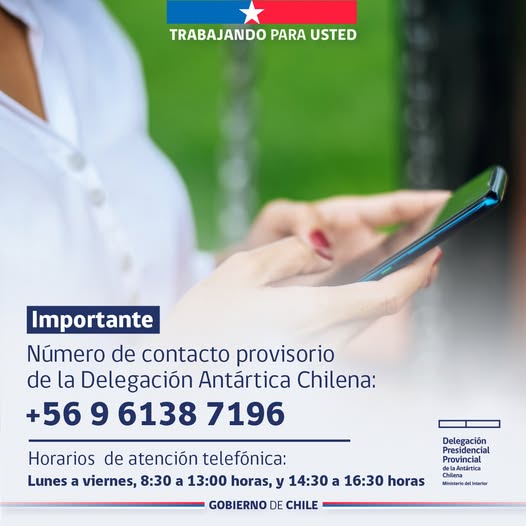 [AFICHE] Número de contacto provisorio de la Delegación Antártica Chilena