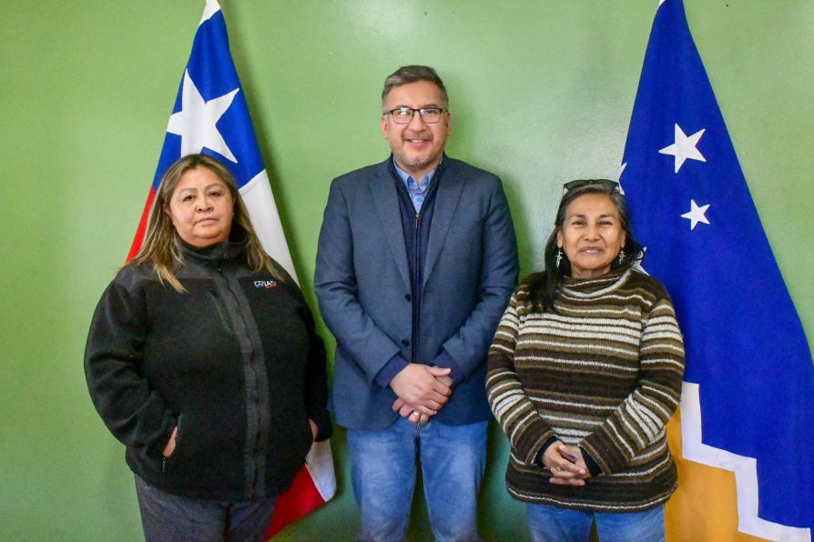 Realizan preparativos previos a las elecciones de consejeros indígenas de Conadi 2026-2030
