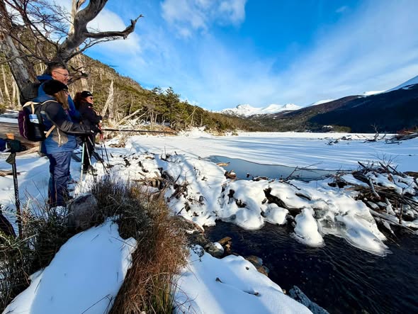 Recorrido preventivo en la cuenca del río Róbalo fortalece preparación ante riesgos naturales en Puerto Williams