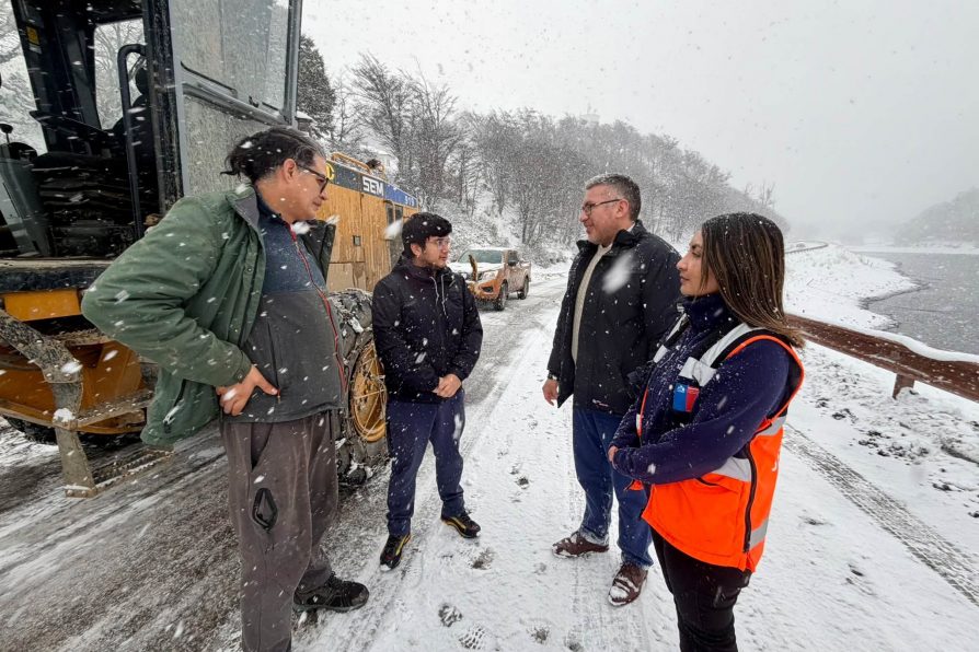Nevada deja 13 centímetros de acumulación en Puerto Williams y activan operativo para despejar caminos en Isla Navarino