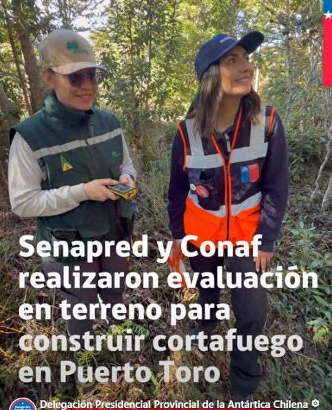 [VIDEO] Senapred y Conaf realizan trabajo en terreno para evaluar construir un cortafuego en Puerto Toro